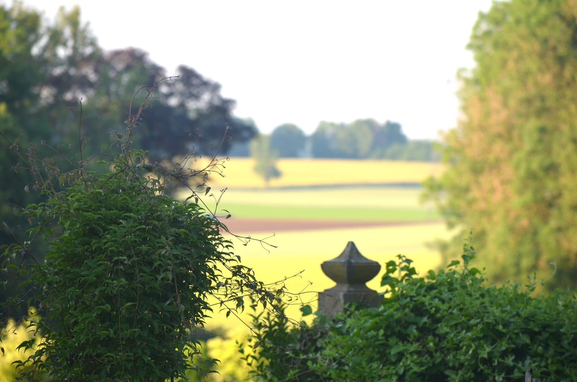 Balades dans le parc — Photo 2 sur 3