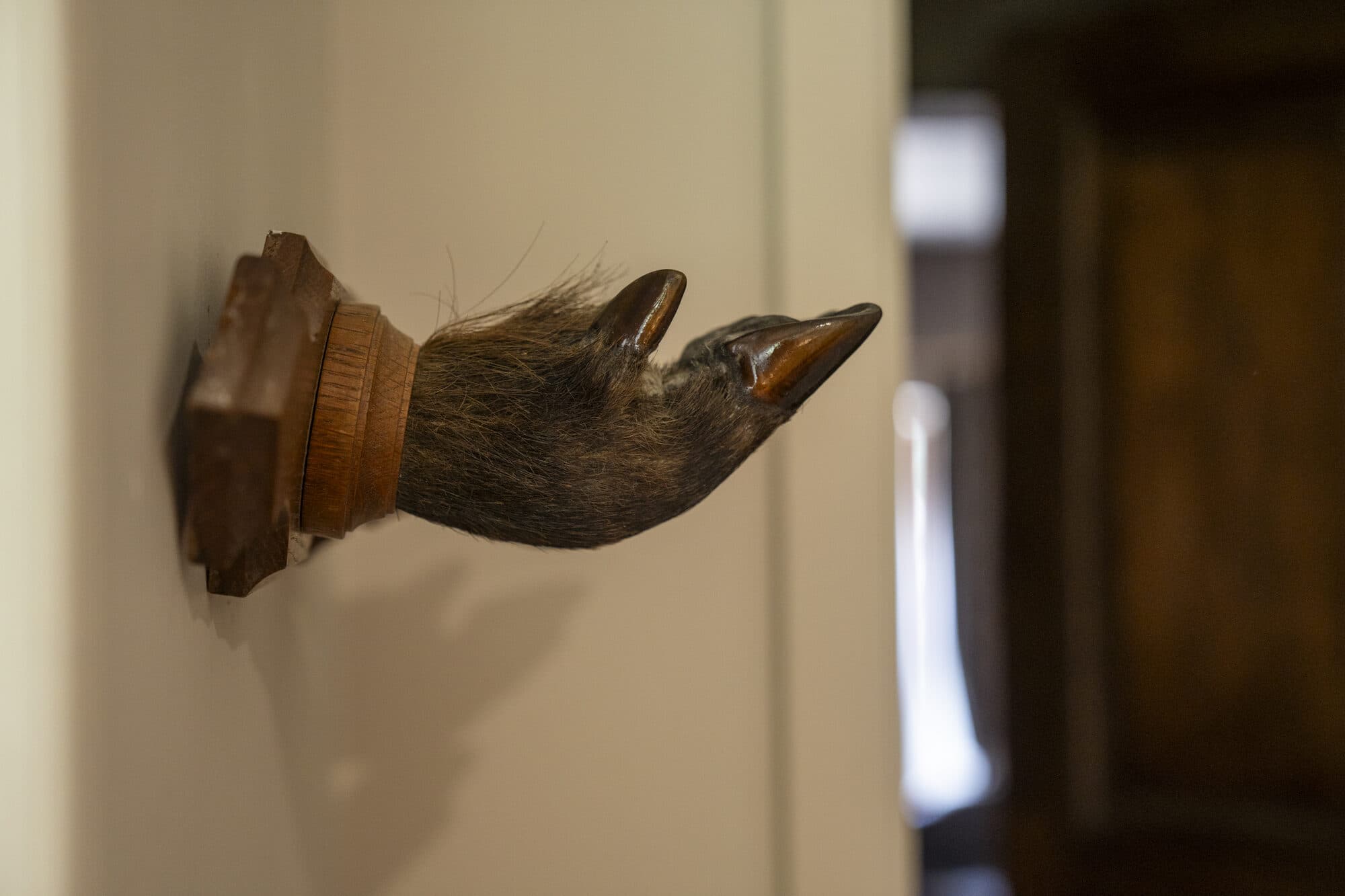 La chambre des Sangliers et celle de Poudlard — Photo 3 sur 5